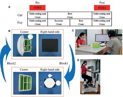 The Positive Effect of Moderate-Intensity Exercise on the Mirror Neuron System: An fNIRS Study